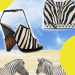 Wild Spirits－Jimmy Choo SS15 设计创意揭秘